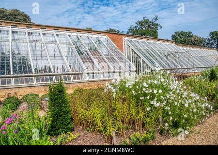 Les vineries victoriennes restaurées dans le jardin clos de Holkham Hall dans le nord de Norfolk. Voir 2GNM4JY pour l'image de pré-restauration. Banque D'Images