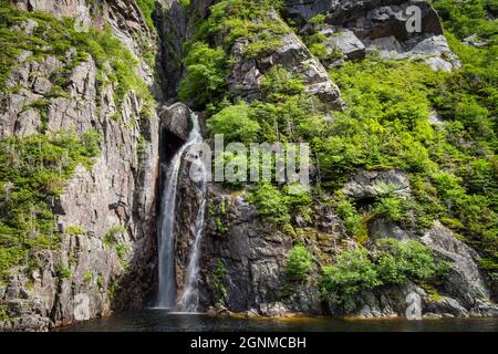 Grande chute d'eau dans une forêt - Parc national du gros-Morne - Western Brook Pond Banque D'Images