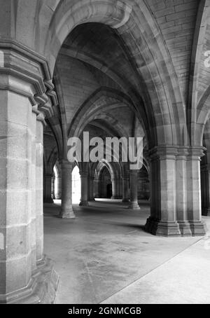 Les cloîtres, couloir voûté, Université de Glasgow Banque D'Images