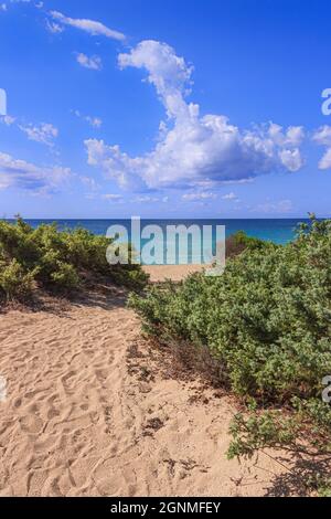 Les plus belles plages de Puglia en Italie : la plage de Torre Colimena à Salento. Banque D'Images