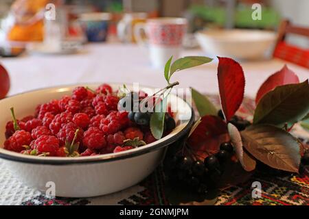Framboises mûres et baies de chocolat dans un bol.Arrière-plan flou.Mise au point sélective. Banque D'Images