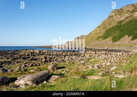 Causeway Coast montrant Giant's Causeway, près de Bushmills, comté d'Antrim, Irlande du Nord, Royaume-Uni Banque D'Images