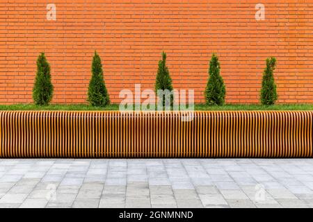 rangée de cinq petits arbres de thuja coniques devant le mur de brique rouge et le banc de contreplaqué paramétrique Banque D'Images