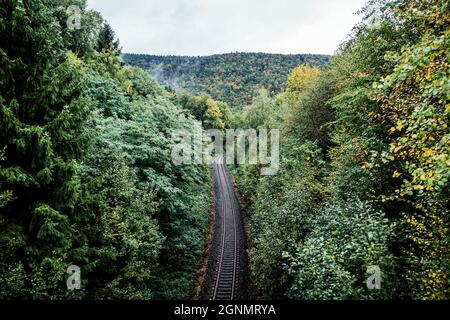 Une photo aérienne des voies de train à travers la forêt avec des arbres épais et luxuriants Banque D'Images