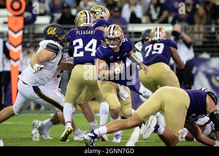 Le quarterback de Washington Huskies Dylan Morris (9) se brouille pendant le 4ème quart d'un match de football universitaire NCAA contre le Golden be de Californie Banque D'Images