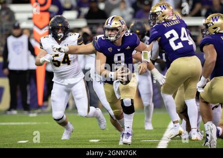 Le quarterback de Washington Huskies Dylan Morris (9) se brouille pendant le 4ème quart d'un match de football universitaire NCAA contre le Golden be de Californie Banque D'Images