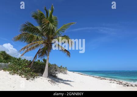 Plage de Turtle Cove, Providenciales, îles Turks et Caicos Banque D'Images