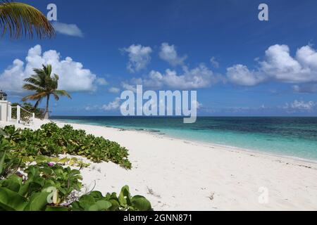 Plage de Turtle Cove, Providenciales, îles Turks et Caicos Banque D'Images