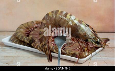 Crevettes géantes fraîches de tigre percées sur une fourchette. Crevettes tigrées largement élevées pour le marché. Points de mise au point sélective Banque D'Images