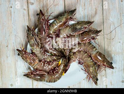 Crevettes géantes fraîches disposées en cercle. Crevettes tigrées largement élevées pour le marché. Points de mise au point sélective Banque D'Images