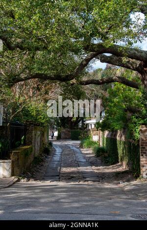 Longitude Lane situé à Charleston, en Caroline du Sud est une allée qui offre un aperçu de certains des cours et des cours cachés de Charleston Banque D'Images