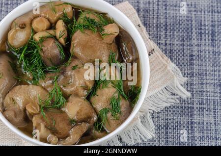 Champignons marinés dans un bol en céramique blanche avec aneth. Le blanc Banque D'Images
