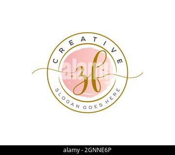 ZF logo féminin beauté monogramme et élégant logo design, écriture logo de la signature initiale, mariage, mode, floral et botanique avec la création Illustration de Vecteur