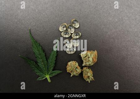 Bourgeons de cannabis médicinaux, feuilles fraîches et huile de cbd. Huile de marijuana dans des capsules médicales isolées sur fond noir. Banque D'Images