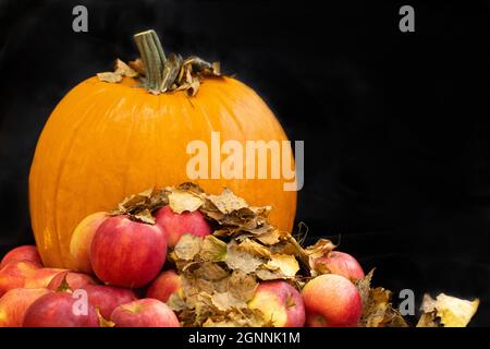 Grande citrouille orange et pile de pommes fraîches avec feuilles d'automne sur fond noir. Préparation de la décoration pour les fêtes de Thanksgiving ou d'Halloween Banque D'Images