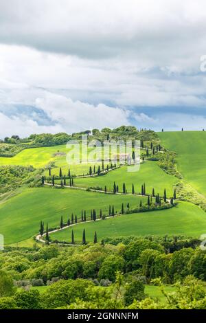 Route venteuse sur une colline Banque D'Images