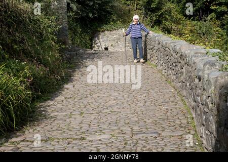 Femme âgée avec hikinh Stick marchant prudemment dans la rue pavée de Clovelly North Devon Banque D'Images