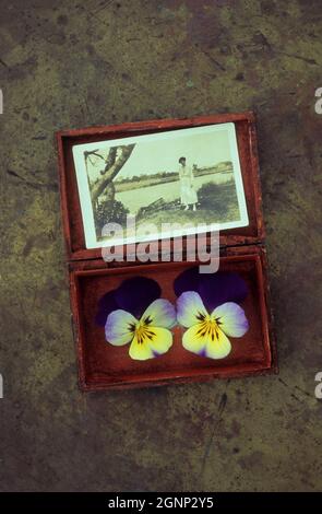 Petite boîte en bois contenant deux pansies ou Viola tricolor et sépia photo des années 1920 d'une femme debout sur la rive Banque D'Images