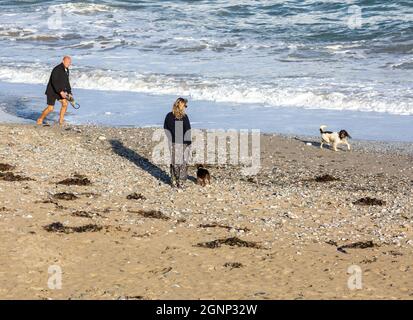 Portreath,Cornouailles,27 septembre 2021, les gens étaient dehors pour une promenade en petit matin en chien ou pour faire du jogging sur la plage à marée haute à Portreath,Cornouailles. Le parking était étrangement vide car depuis mai, il y avait beaucoup de vacanciers. Le ciel était bleu avec le soleil glorieux malgré les prévisions de temps instable pour les prochains jours.Credit: Keith Larby/Alamy Live News Banque D'Images