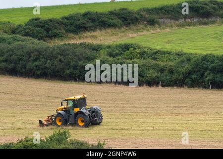 Un tracteur agricole à grande vitesse JCB Fastrac 4220 avec un coupe-branches à fléau Teagle travaillant dans un champ à Newquay en Cornouailles. Banque D'Images
