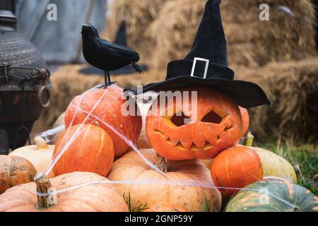 Bouquet de citrouilles orange pour halloween, grand corbeau noir, chapeau de magicien, Jack-o-lanterne avec des yeux sculptés effrayants, bouche.Hay, haystack dans la grange.Street decoratio Banque D'Images