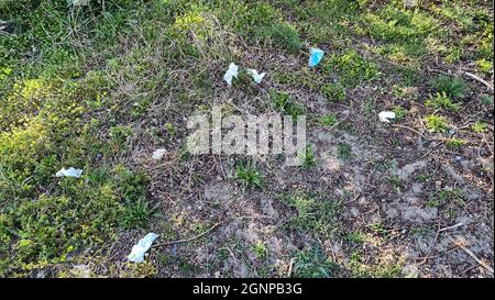 Masque de visage cassé un autre poubelle dans les dunes, pays-Bas Banque D'Images