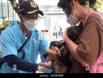 Jakarta, Indonésie. 27 septembre 2021. Un chien de compagnie reçoit un vaccin gratuit contre la rage à Jakarta, Indonésie, le 27 septembre 2021. La Journée mondiale de la rage est célébrée le 28 septembre afin de sensibiliser les animaux de compagnie à la prévention de la rage. Credit: Zulkarnain/Xinhua/Alamy Live News Banque D'Images