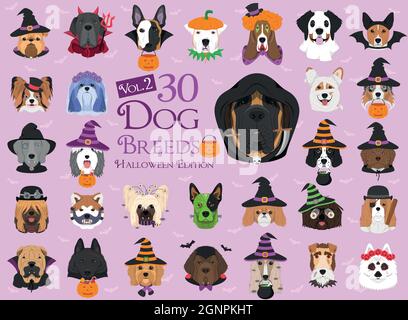 Ensemble de 30 races de chiens avec costumes d'Halloween. Ensemble 2 Illustration de Vecteur