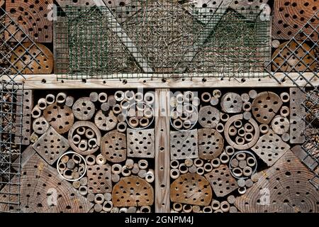 Insectes hôtel extérieur gros plan plein cadre comme arrière-plan Banque D'Images