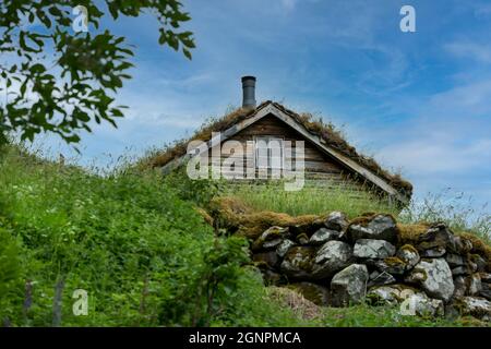 GEIRANGER, NORVÈGE - 2020 JUIN 21. Herbe verte avec herbe de toit de chalet sur l'arrière-plan. Banque D'Images