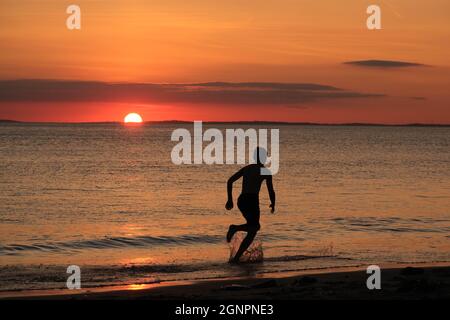 Gower, Swansea, Royaume-Uni. 24 août 2021. Météo au Royaume-Uni: Un garçon aime arnaqueter les hilades sous un soleil couchant, lors d'une soirée sèche, fine et ensoleillée à la plage de Llangennith sur la péninsule de Gower. Les perspectives pour les prochains jours sont pour le même beau temps avec quelques sorts chauds.Credit: Gareth Llewelyn/Alamy Banque D'Images