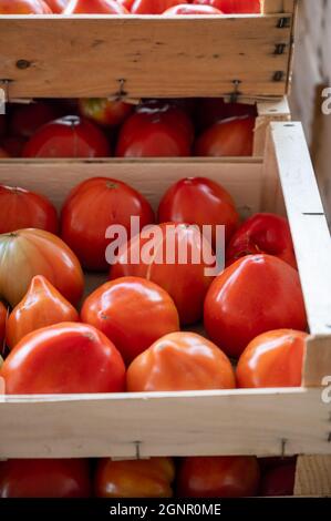 De savoureuses grosses tomates mûres françaises dans des boîtes en bois sur le marché des agriculteurs en Provence en été Banque D'Images