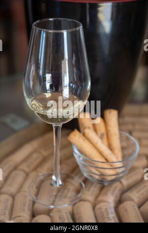 Industrie viticole de l'île de Chypre, dégustation de vin blanc sec sur un ancien domaine situé sur les pentes sud de la chaîne de montagnes de Troodos. Banque D'Images