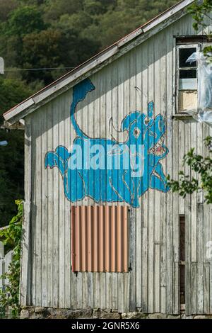 ÅNA-SIRA, NORVÈGE- SEPTEMBRE 08. Drôle de dessin de vache bleue sur la maison abandonnée. Banque D'Images