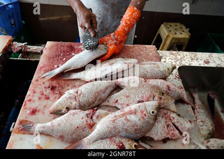 Marché du poisson. Nettoyage du poisson par un travailleur. Émirats arabes Unis. Banque D'Images