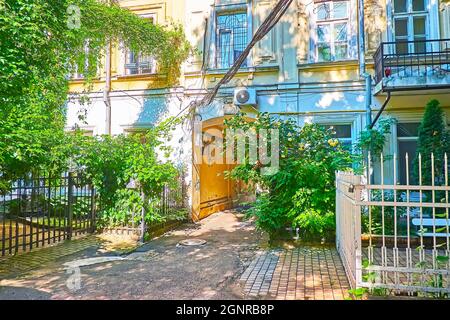 Les petites cours de la vieille ville avec des passages sous les maisons, de petits jardins, des vignes et des roses en fleurs, rue Ekaterininskaya, Odessa, Ukra Banque D'Images