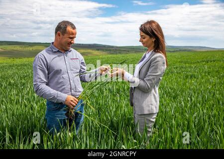 Client et employé d'une institution de microfinance dans le domaine du blé du client à Solcani, Moldova Banque D'Images