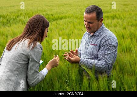 Employé et client d'une institution de microfinance dans son domaine de l'orge à Solcani, Moldova Banque D'Images