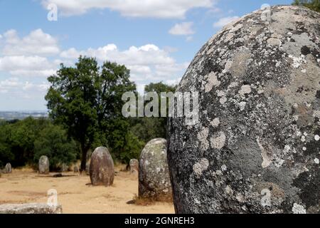 Le Cromlech des Almendres est un complexe mégalithique. C'est l'un des plus grands groupes de menhirs structurés d'Europe. Portugal. Banque D'Images