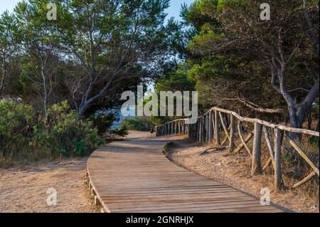 L'Escala catalogne Espagne juillet 22 2019 promenade sur la plage entre Empuries et l'Escala Banque D'Images