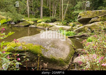 Des formations rocheuses spectaculaires le long de la rivière Waldnaab, qui se déplace lentement, sont typiques de la vallée de Waldnaab en Bavière. Banque D'Images