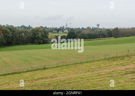 Prairies verdoyantes et champs d'agriculture dans la campagne flamande en été Banque D'Images