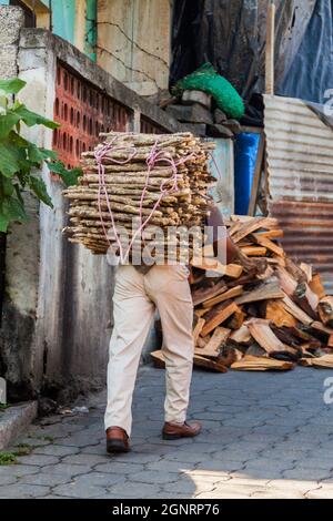 SANTIAGO ATITLAN, GUATEMALA - 24 MARS 2016 : homme autochtone local avec une charge de bois de chauffage dans le village de Santiago Atitlan. Banque D'Images