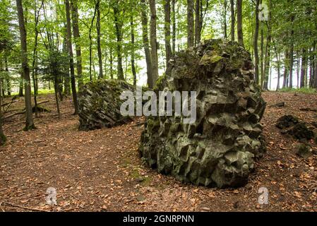 Histoire de la terre: Les chevaux de Basalte, deux roches volcaniques dans la 'forêt tonale' Banque D'Images
