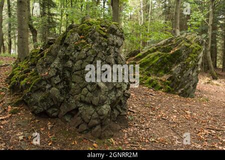 Histoire de la terre: Les chevaux de Basalte, deux roches volcaniques dans la 'forêt tonale' Banque D'Images