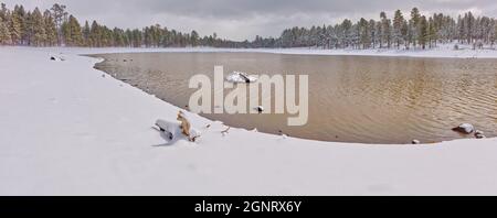 Kaibab Lake près de Williams Arizona vue de son côté nord-est en hiver. Situé dans la forêt nationale de Kaibab. Banque D'Images