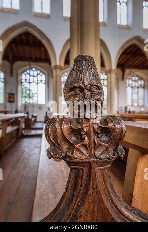 Une tête de coquelicot sculptée représentant l'un des « péchés mortels de mort » à l'église Sainte-Trinty, Blythburgh, Suffolk, Angleterre Banque D'Images