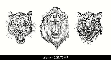 Collection Angry sauvage, Tiger, Lion, Cheetah grogning muzzle. Dessin d'une boisée noire et blanche à l'encre. Banque D'Images