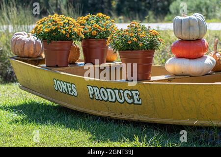 Georgiana, Alabama, États-Unis - 24 septembre 2021 : ancien bateau jon peint et décoré pour annoncer le stand Jones Produce près de l'Interstate en Georgiana. Banque D'Images