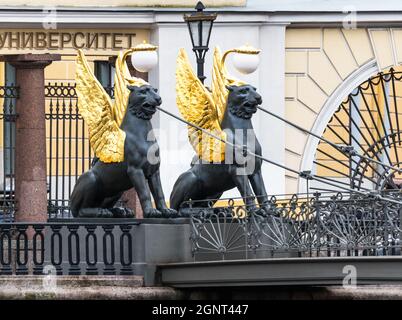 Griffons à ailes dorées du pont Bank (Bankovsky Most) – un pont piétonnier au-dessus du canal Griboedov, à Saint-Pétersbourg, en Russie Banque D'Images